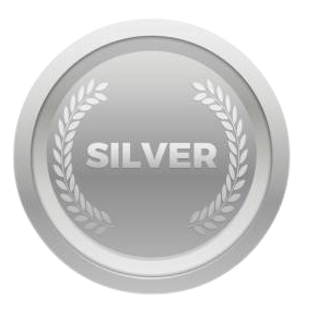 Silver Icon